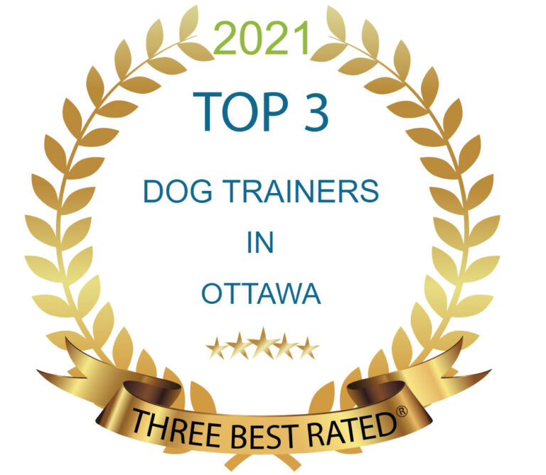 Dog Training for the Ottawa Ontario area by Awesome K9